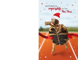 Weihnachtskarte   Schildkröte Rückseite/Vorderseite